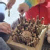 Bug Hotel